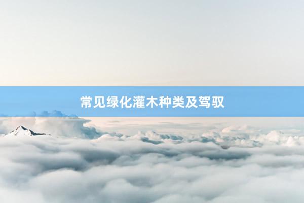 常见绿化灌木种类及驾驭