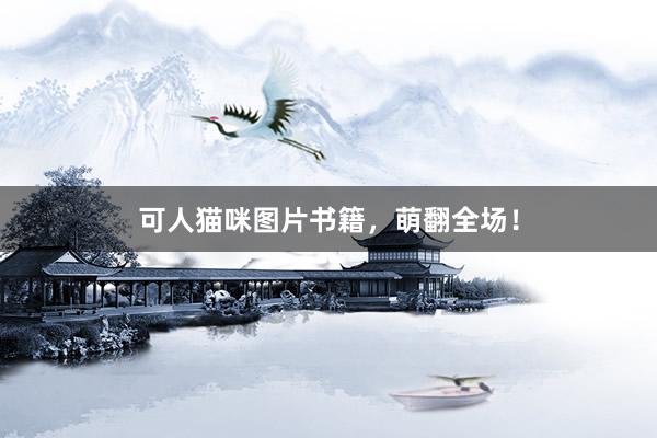 可人猫咪图片书籍，萌翻全场！