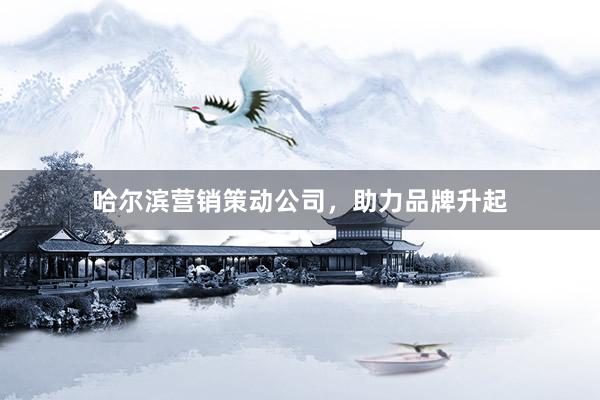哈尔滨营销策动公司，助力品牌升起